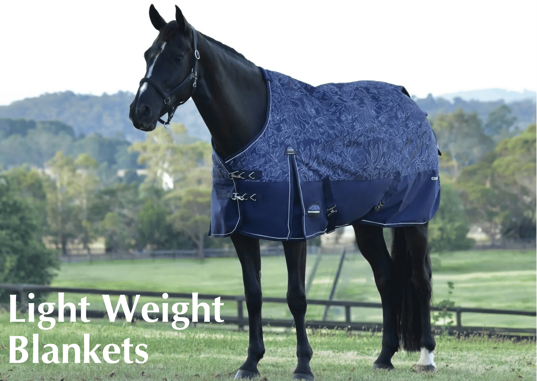 Shop Lightweight Turnouts