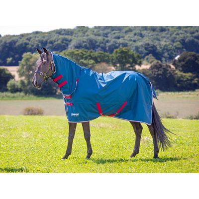 Shires Tempest Original Lite Combo - Teal