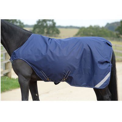 Bucas Walker Rug - Navy