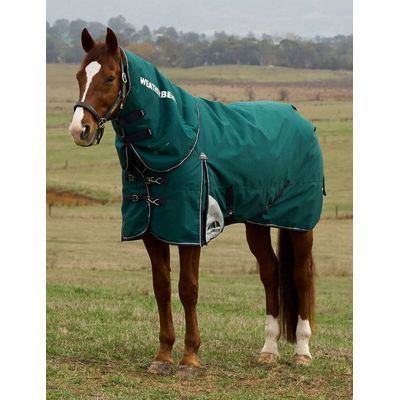 Weatherbeeta Comfitec Plus Dynamic Turnout Detach-A-Neck 0g - Forest Green/Navy