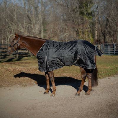 Equinavia Norse Gusseted Stable Blanket 100g - Black