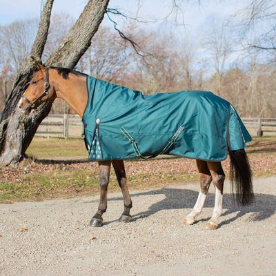 Equinavia Arktis Extended Neck Heavy Weight Turnout Blanket 300g - Deep Green