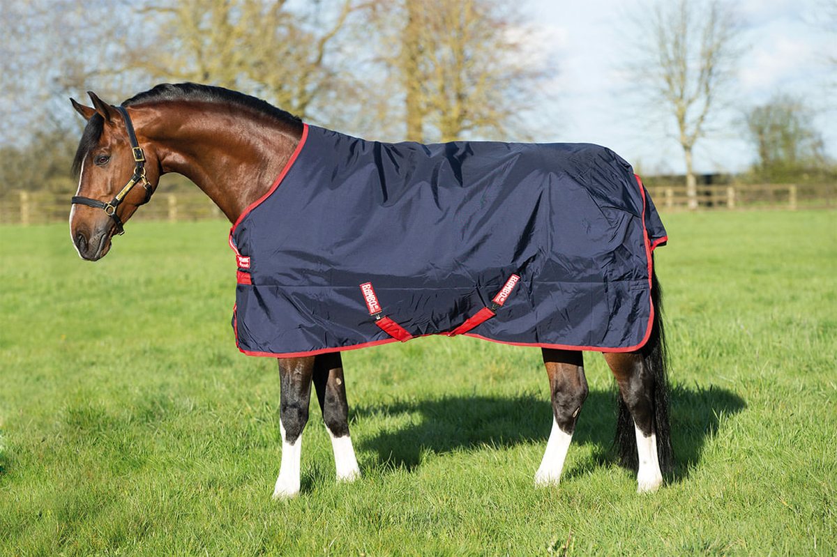 A bay horse in a navy Rambo Original turnout in a paddock