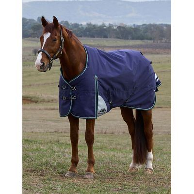 Weatherbeeta Comfitec Plus Dynamic Turnout 0g - Navy/Forest Green