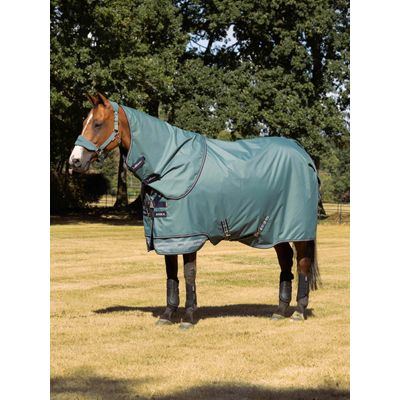 LeMieux Arika 600D Ripstop 200g Turnout Blanket - Aloe