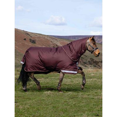 LeMieux Arika 600D Ripstop 100g Turnout Blanket - Bramble