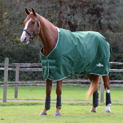 Saxon Defiant 1200D Standard Neck Medium - Hunter Green/White
