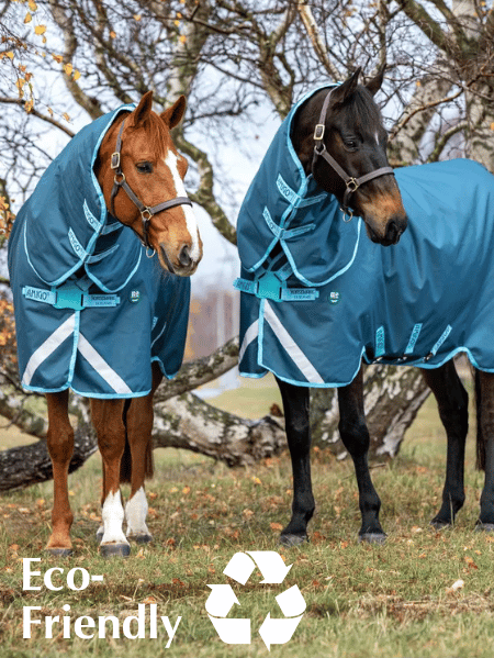 Eco-Friendly Blankets