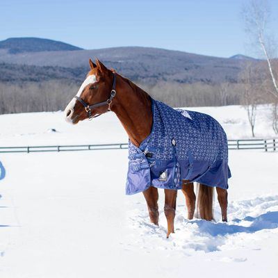 Equinavia Arktis Extended Neck Heavy Weight Turnout Blanket 300g - Skipper Blue