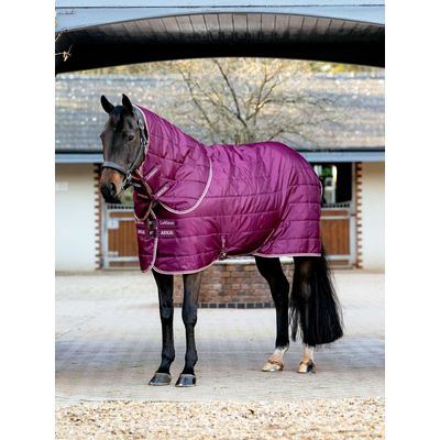LeMieux Arika Stable-Tek w/200g - Blackberry