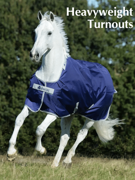 Shop Heavyweight Turnouts