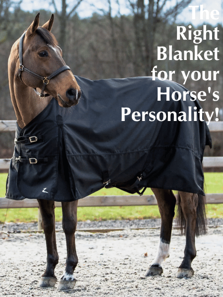 Get the Right Blanket for your Horse's Personality