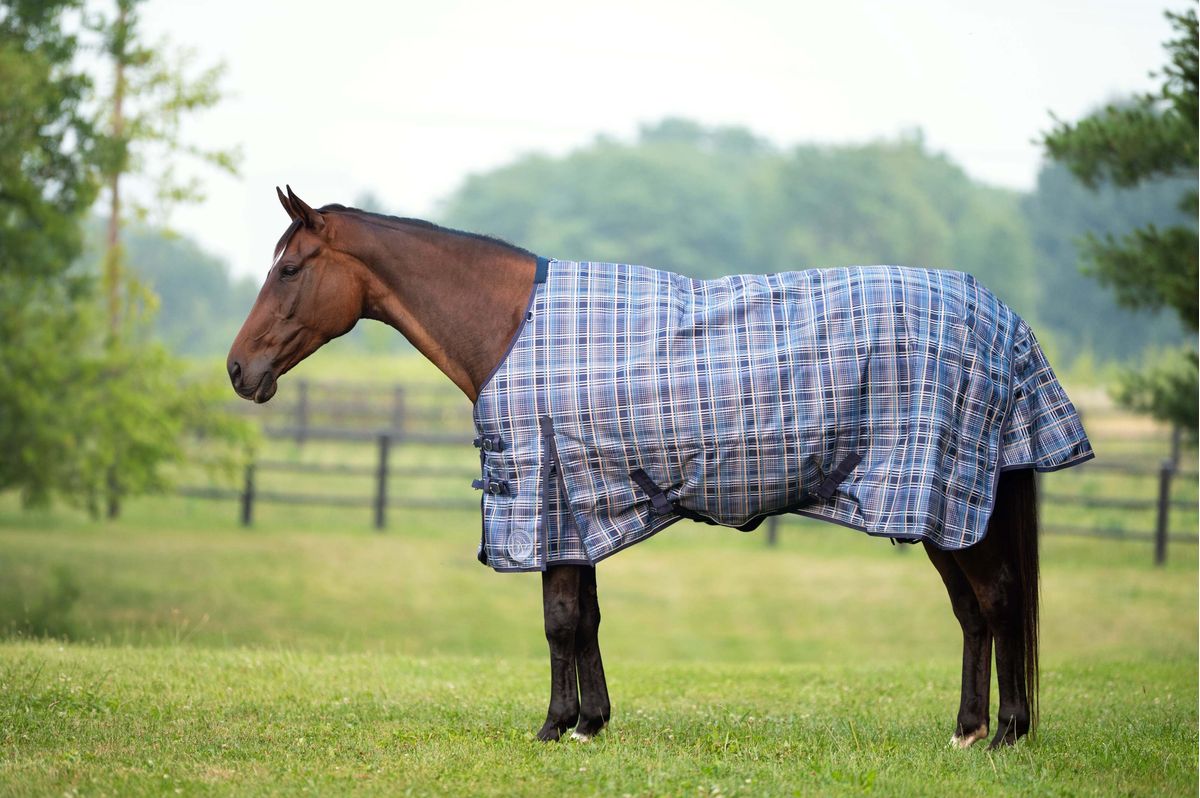 A bay horse in an Ovation 1200D turnout in Smoke Blue Plaid standing in a fenced pasture