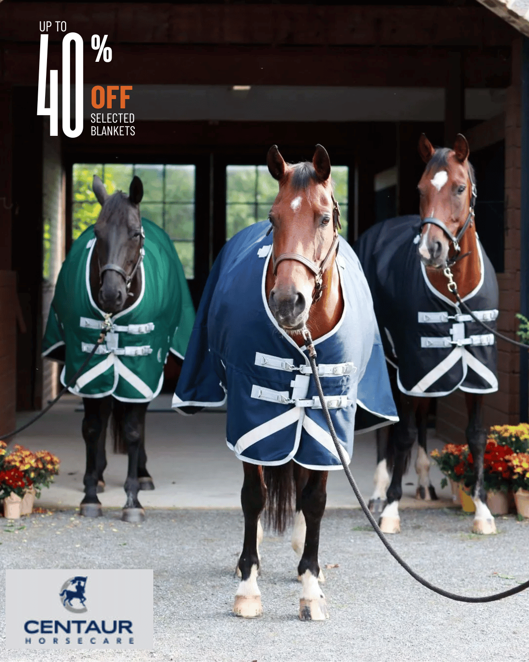 Centaur Blanket Sale
