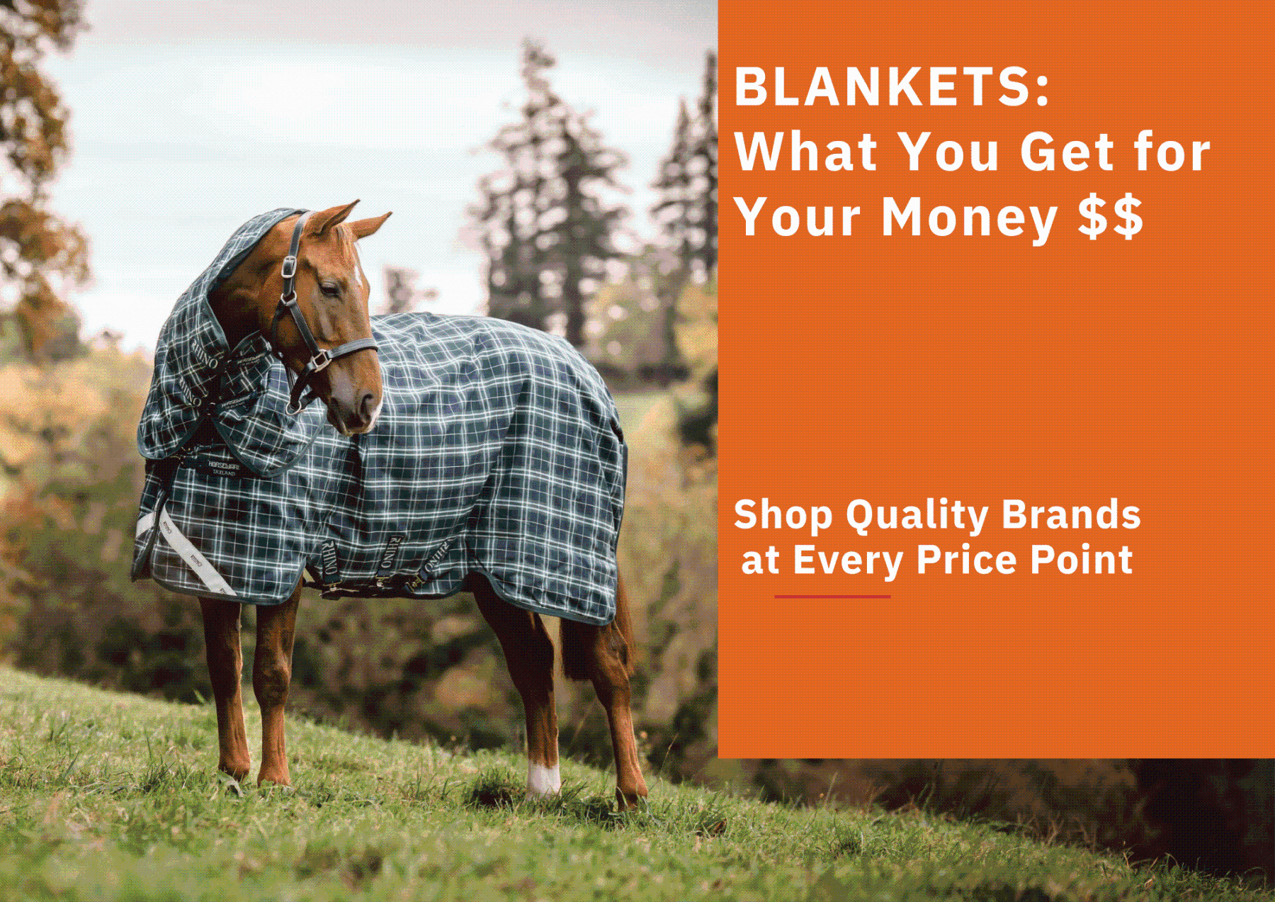 Blankets - What you Get for your Money