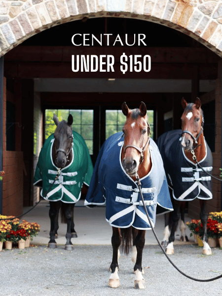 Shop for CENTAUR BLANKETS