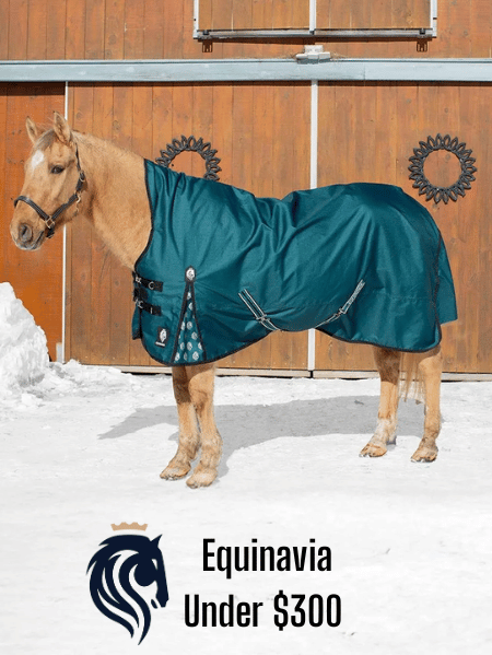Shop for Equinavia Blankets