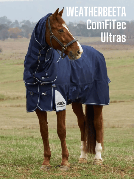 Shop for Weatherbeeta Comfitec ULTRAs