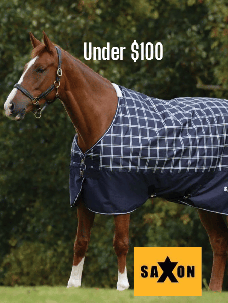 Shop for Saxon Horse Blankets