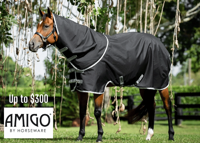 Shop for AMIGO Turnout Blankets