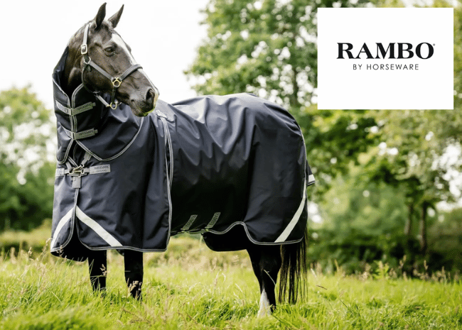 Shop for Turnout Blankets by Rambo