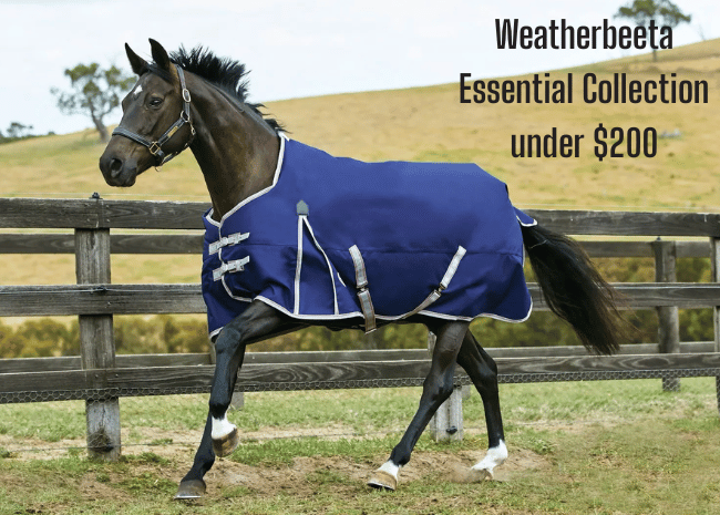 Shop for Weatherbeeta Essential Turnouts