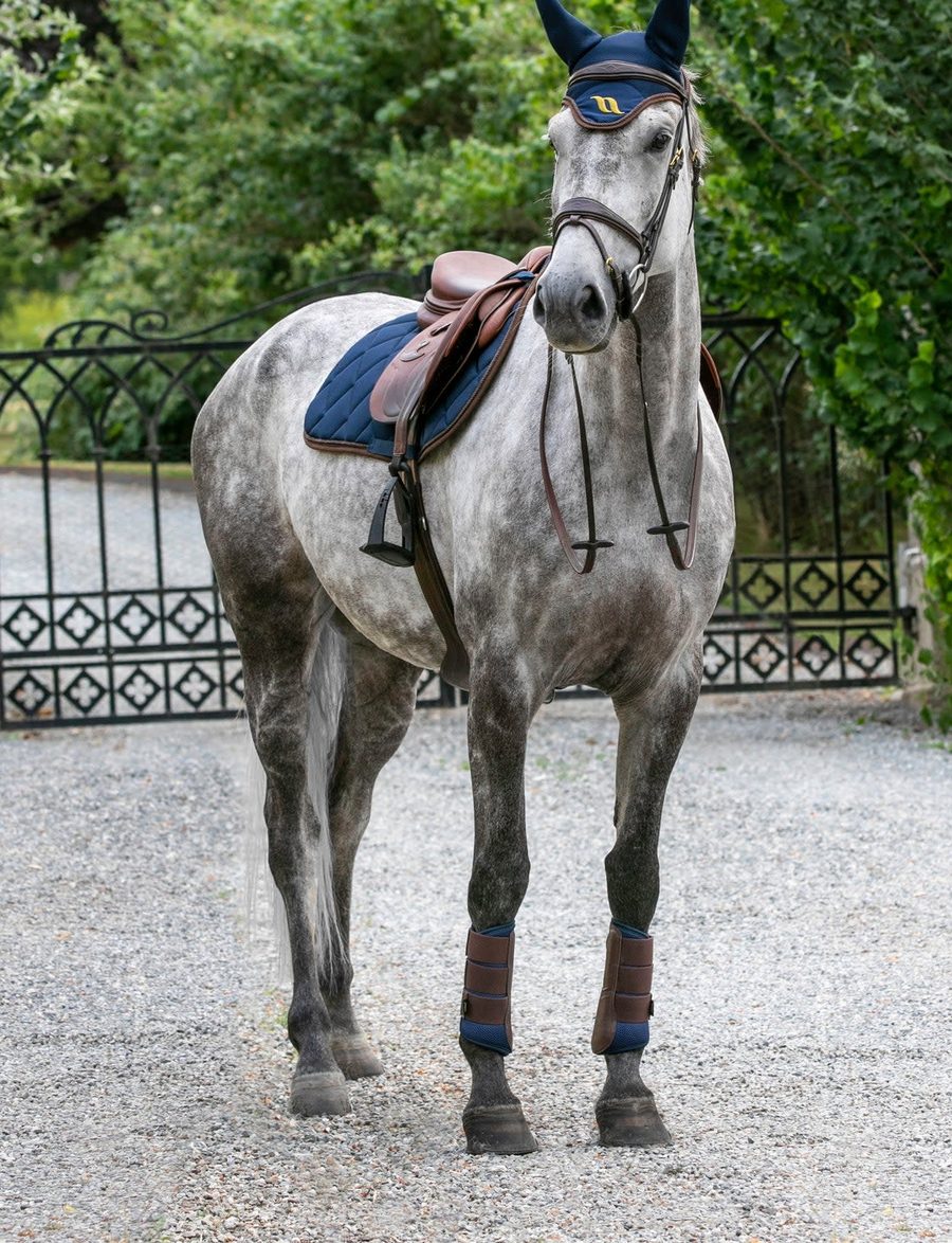 A gray horse in Back on Track Airflow brush boots and a navy saddle pad standing in a stable yard