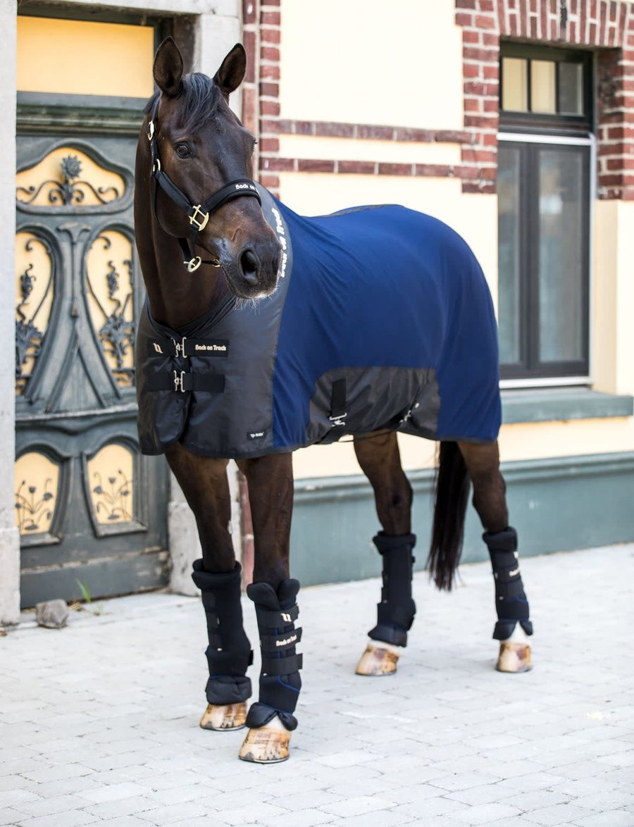 A dark bay horse in a navy Back on Track Royal Mesh Sheet Deluxe standing in front of a brick barn