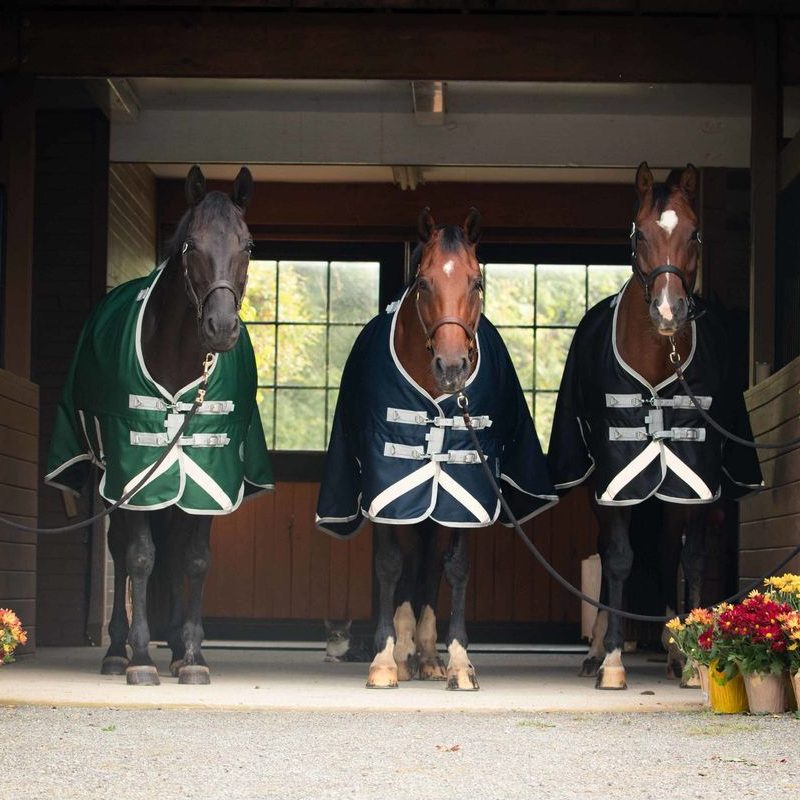 Three horses in Centaur turnout sheets standing in a stone barn doorway