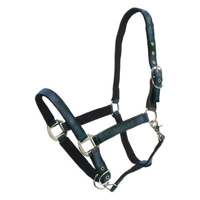 Centaur Glitter Break Away Halter - Teal
