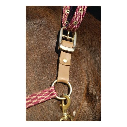 Centaur Leather Breakaway Fuse - Assorted