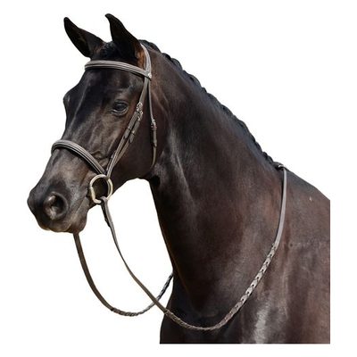 Dublin Padded Mono Crown Fancy Stitch Hunt Bridle - Brown
