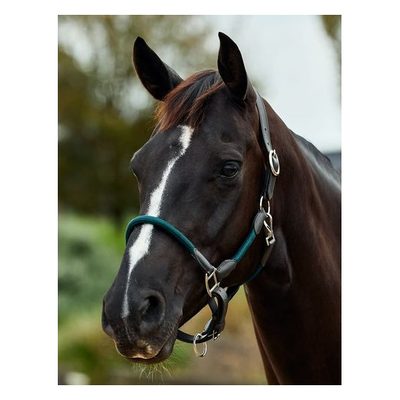Dublin Leather Rope Headcollar - Hunter Green/Brown
