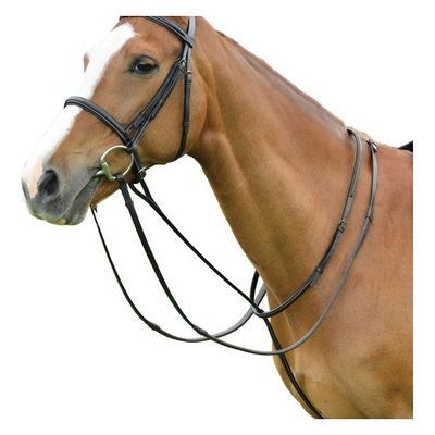 Dublin Standing Martingale - Brown