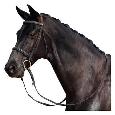 Dublin Padded Cavesson Bridle - Black