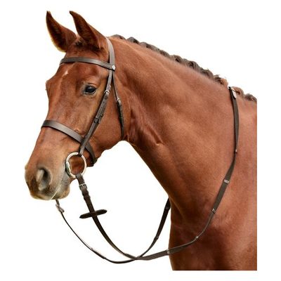 Dublin Flat Cavesson Bridle - Brown