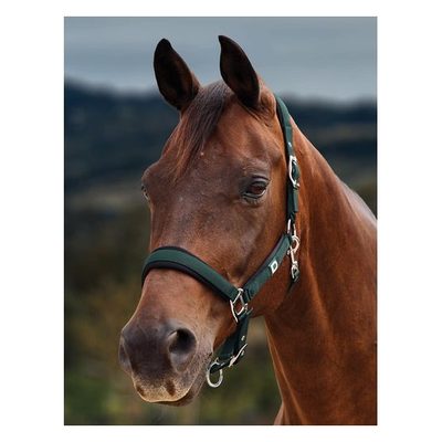 Dublin Neo Comfort Breakaway Headcollar - Green/Black