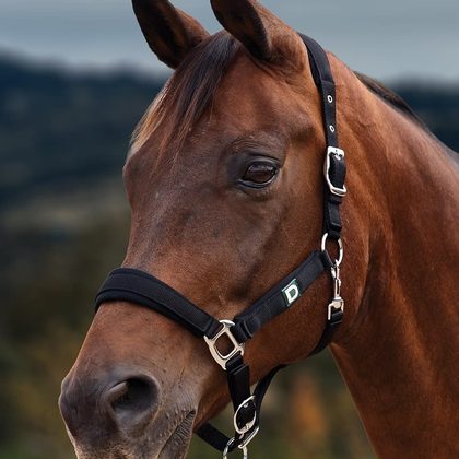 Dublin Neo Comfort Breakaway Headcollar - Green/Black