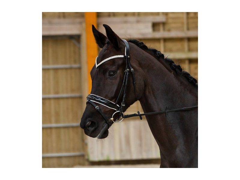 Horze Grayson Classic Dressage Ergonomic Bridle