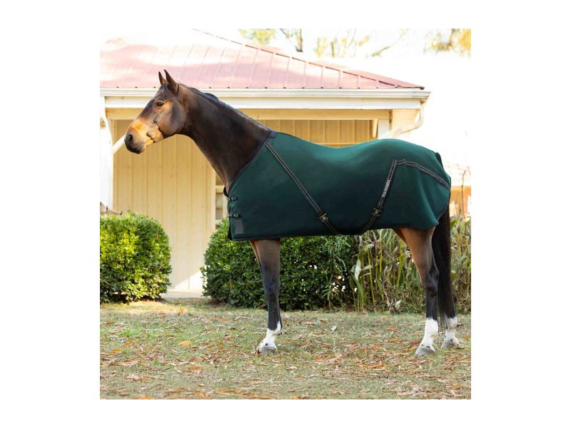 Equinavia Fryd Cotton Stable Sheet