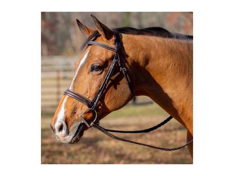 Equinavia Valkyrie Classic Wide Noseband Hunter Bridle with Reins