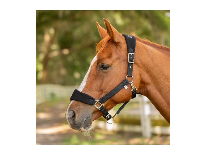 Equinavia Saga Fleece Padded Breakaway Halter