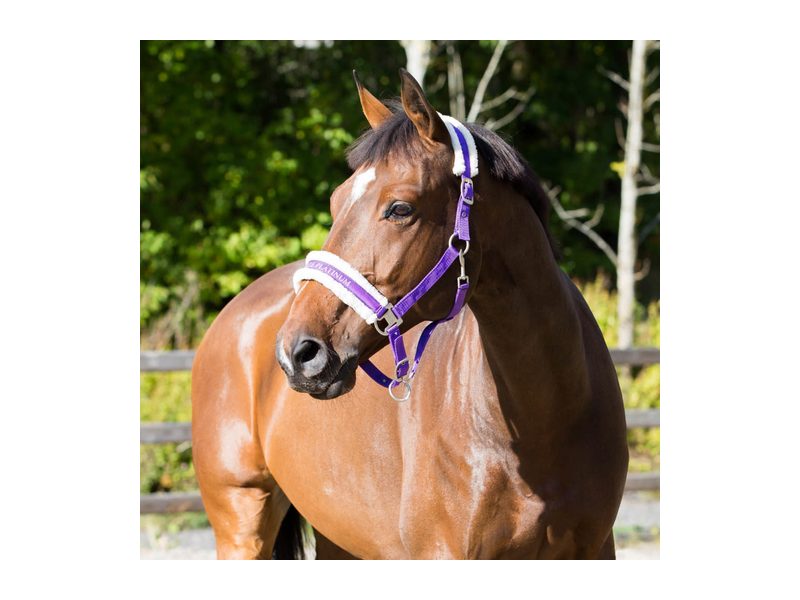 Horze Howard Halter