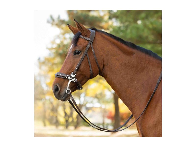 Equinavia Saga Hackamore Bridle with Rubber Reins