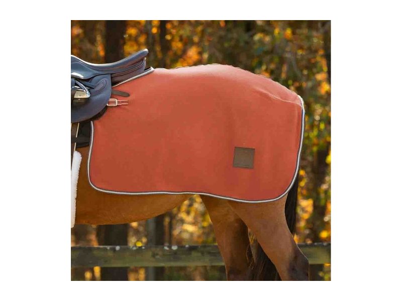 Equinavia Norse Fleece Exercise Quarter Sheet