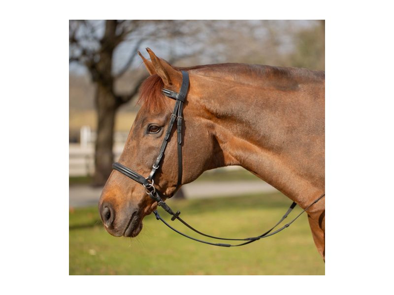 Equinavia Saga Bitless Bridle