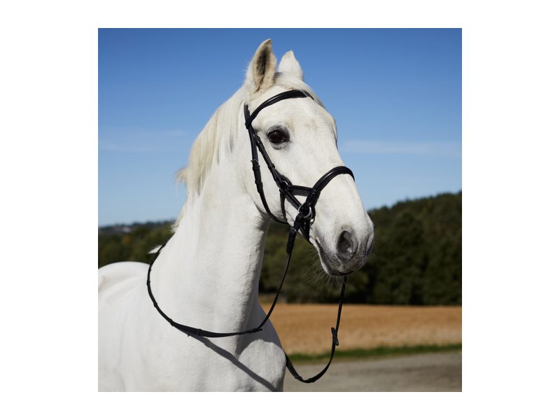 Horze Denver Bitless Bridle