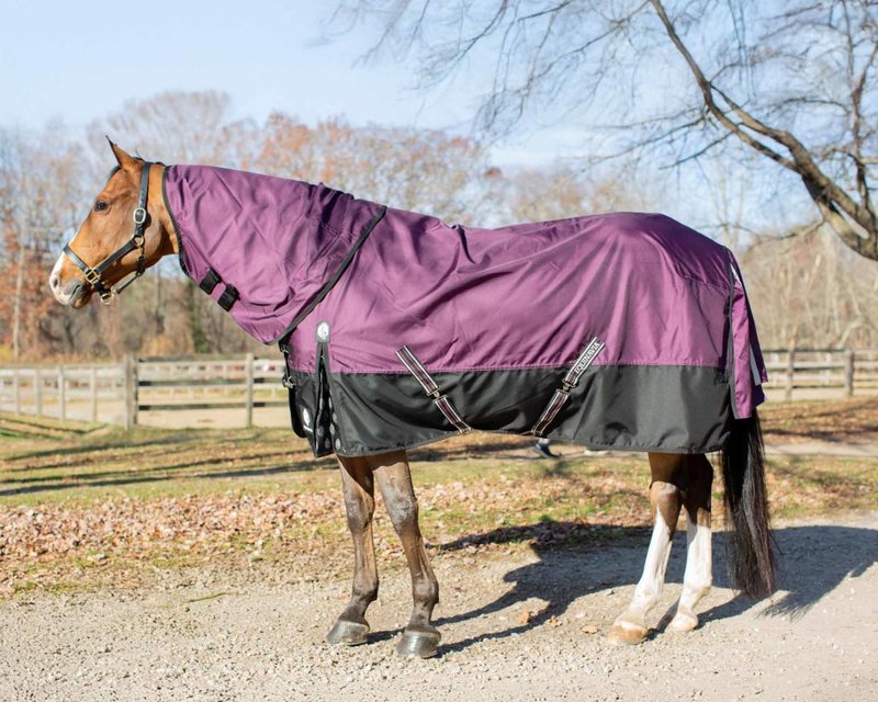 Bay horse in a plum Equinavia Thunder360 turnout blanket with detachable neck, standing on a gravel drive