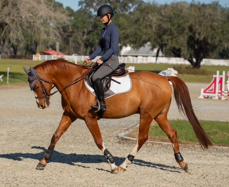 A rider in grey Equinavia Astrid breeches and a navy top trots a chestnut horse in a sand arena