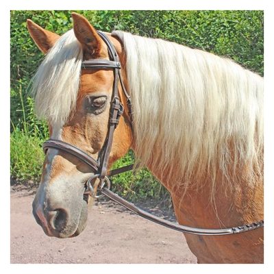 Henri de Rivel Pro Fancy Raised Comfort Crown Padded Bridle w/Reins - Havana